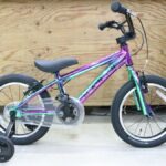 MARIN DONKY Jr16 カラー追加！